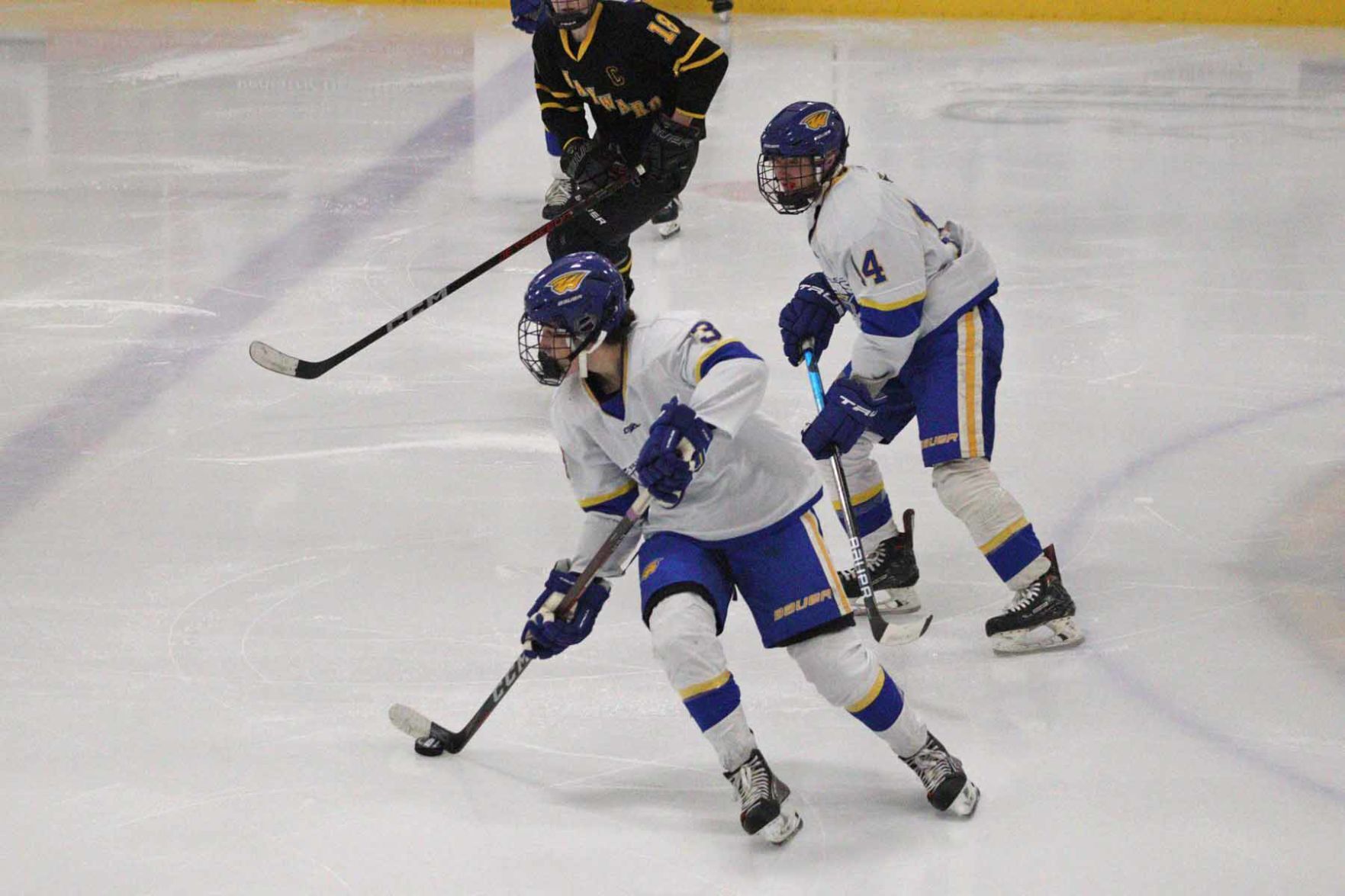 Rice Lake boys hockey vs. Hayward 12-17-22